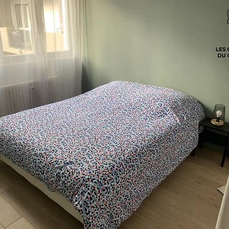 Les Chambres Du Graoully - Le 136 - Metz Queuleu - Place De Parking Interieur Luaran gambar